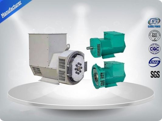 China 3-Phasen-Bürstenloser Motor-Generator Säurebeständig mit selbsterregendem Steuerungssystem fournisseur