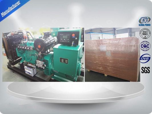 China Global 10 kW - 1000 kW Biomasse-Vergaser mit Gasgenerator betrieben fournisseur