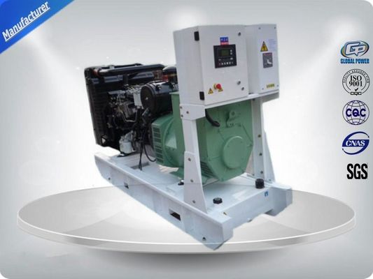 China 14KW/17.5KVA YangDong Diesel Notstromaggregat YND485D Meccalte Lichtmaschine ECP28-M4A fournisseur