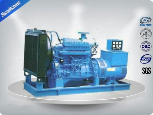 Generator-Satz des Gas-20kw fournisseur